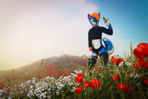 <missing picture: meadow>